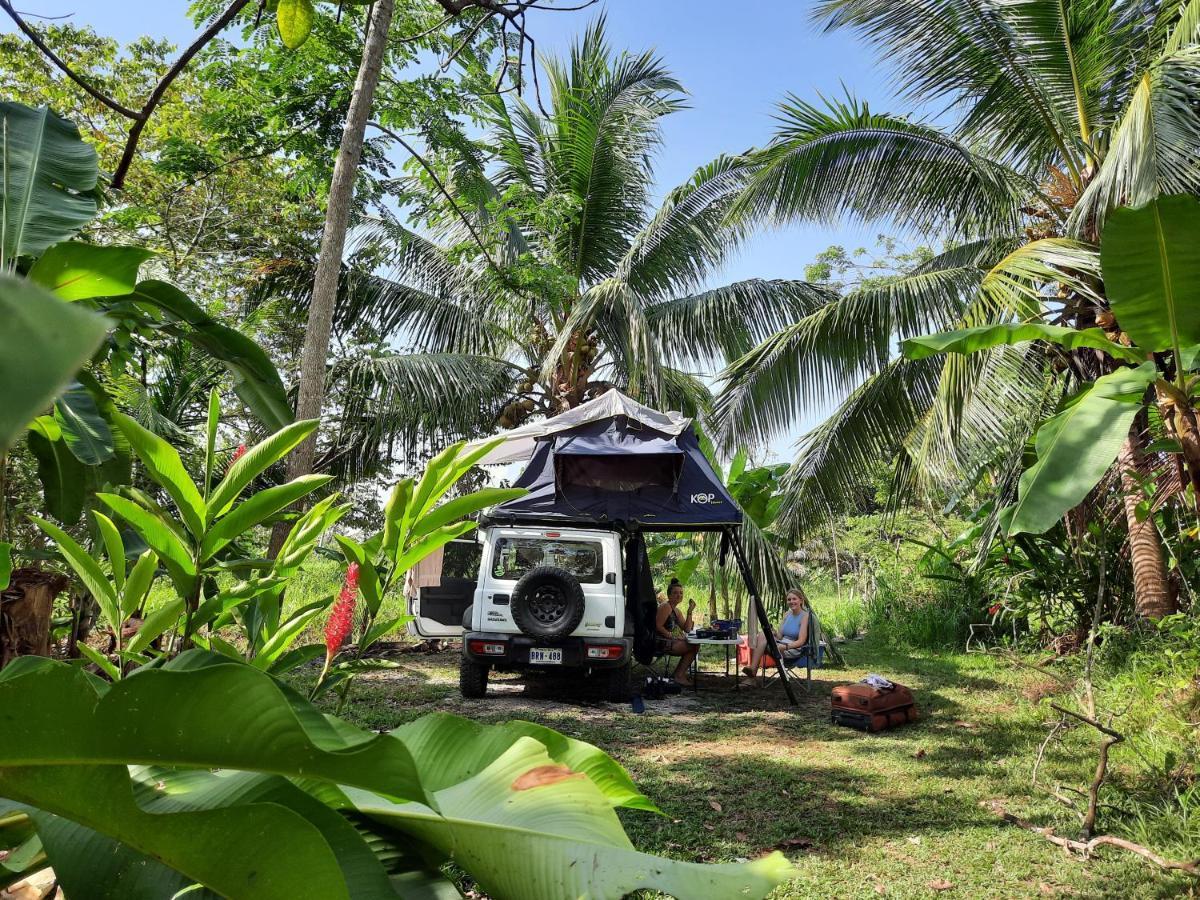 La Munequita Lodge 1 - Culture & Nature Experience Palmar Norte ภายนอก รูปภาพ