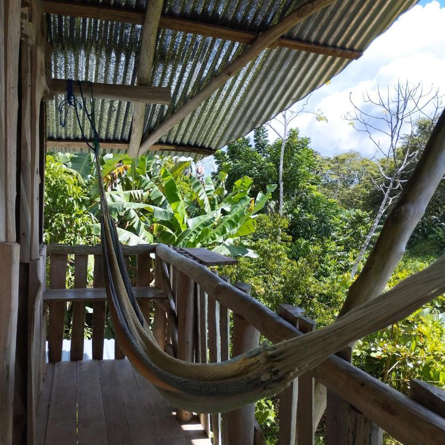 La Munequita Lodge 1 - Culture & Nature Experience Palmar Norte ภายนอก รูปภาพ