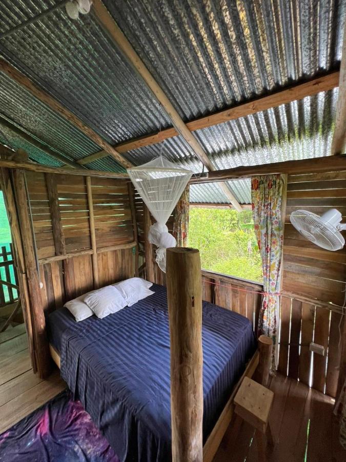 La Munequita Lodge 1 - Culture & Nature Experience Palmar Norte ภายนอก รูปภาพ